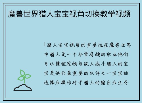 魔兽世界猎人宝宝视角切换教学视频